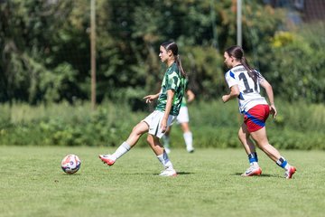 Bild 163 - wBJ Hamburger SV - VfL Wolfsburg : Ergebnis: 5:1
